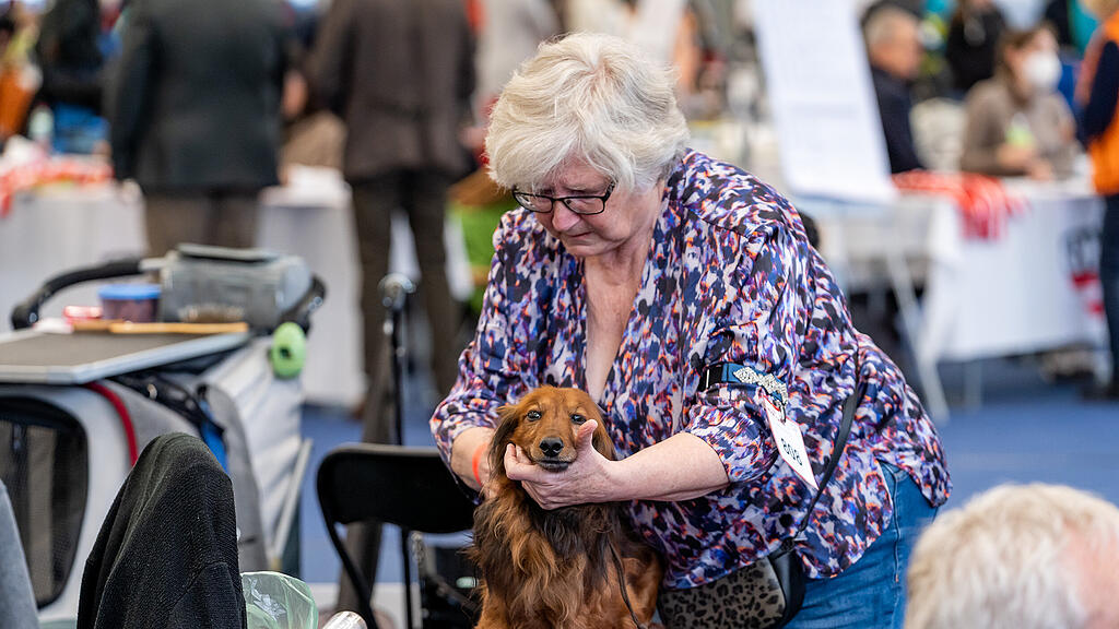 Internationale Hundeausstellung Salzburg 2022