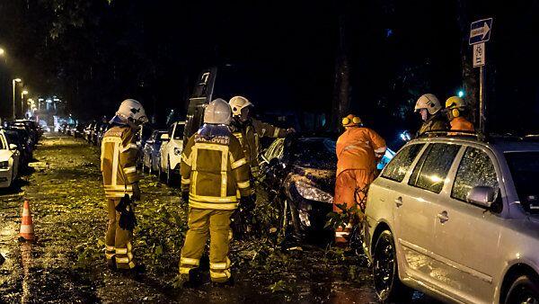 Fahrzeug in Hannover unter Baum begraben