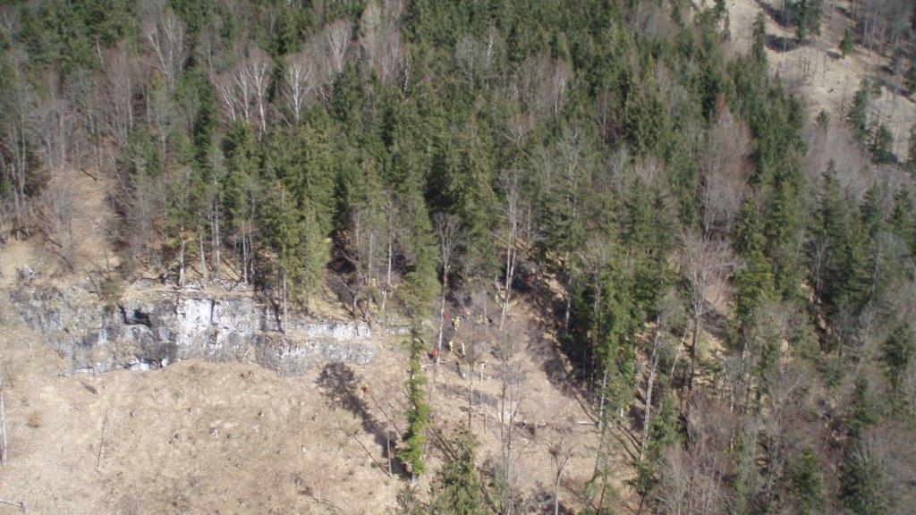 Waldbrand in Faistenau
