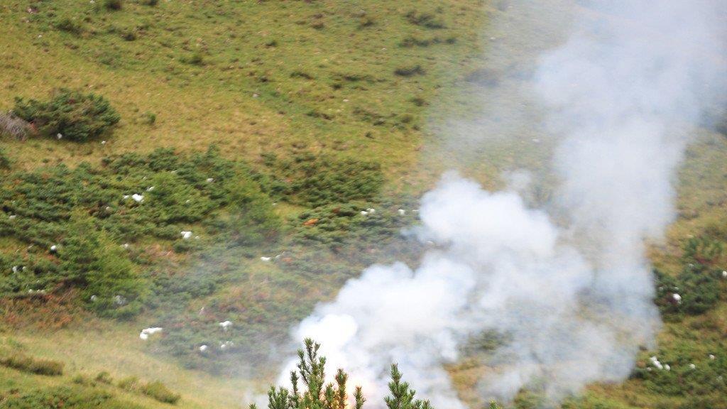 Waldbrand in Werfenweng