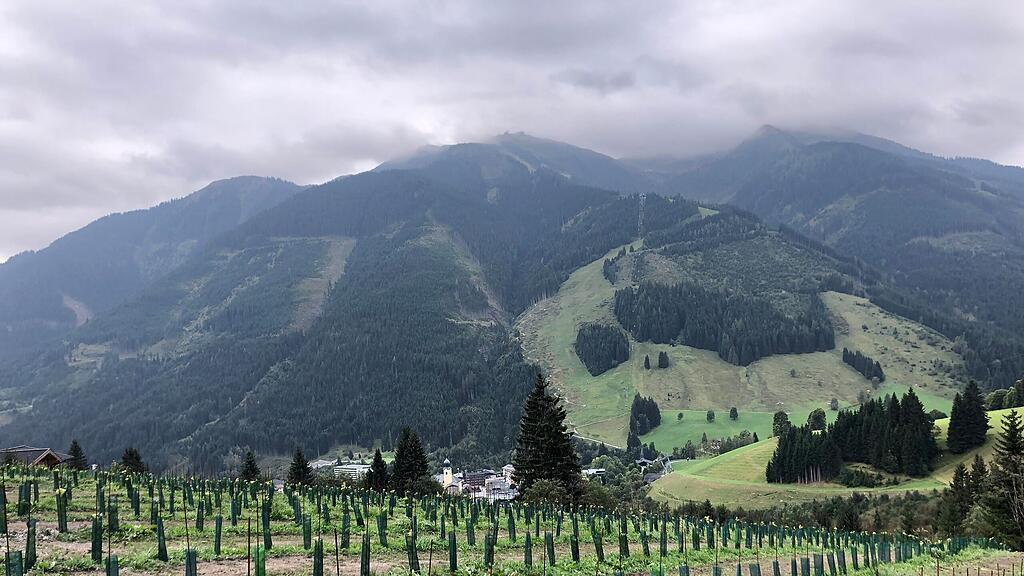 Alpenwinzerei Saalbach-Hinterglemm