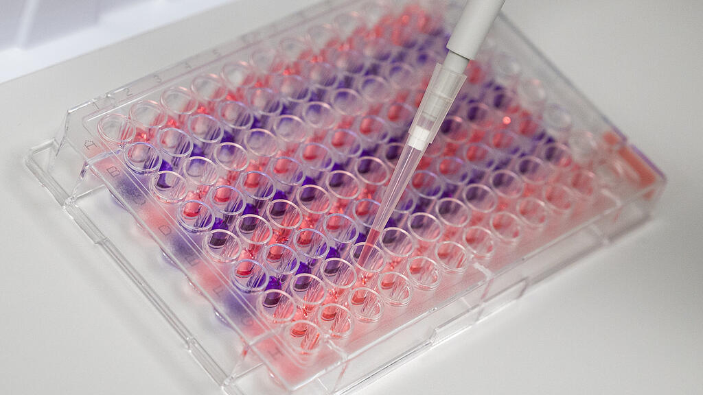 SB, Coronavirus