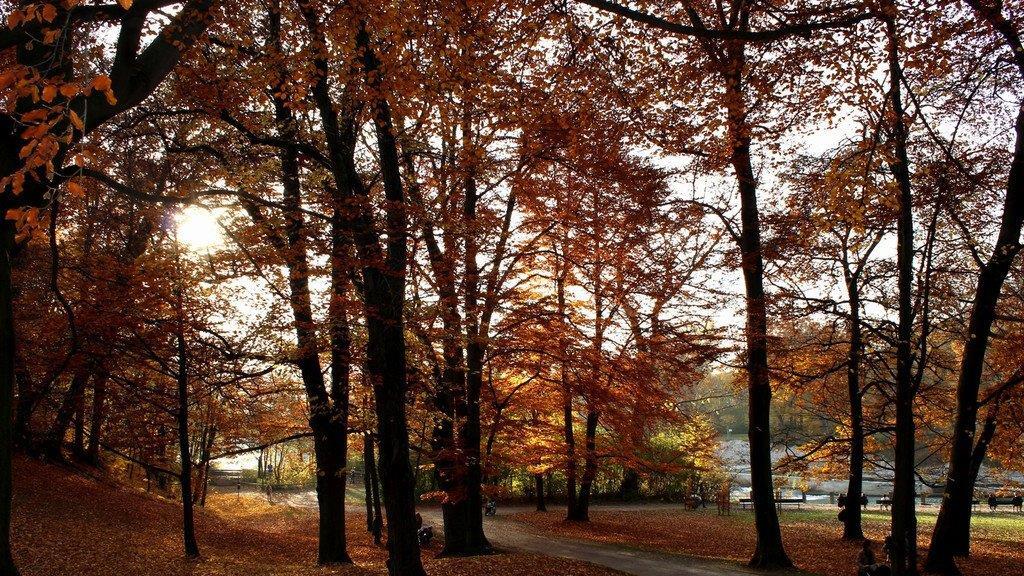 Herbst an der Isar