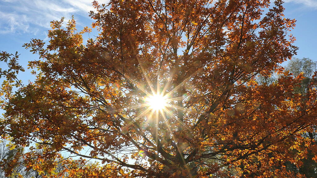 symb_herbst, symb_wetter