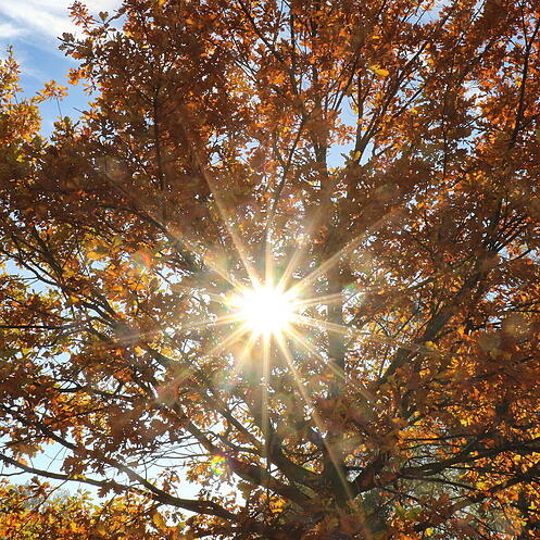 symb_herbst, symb_wetter