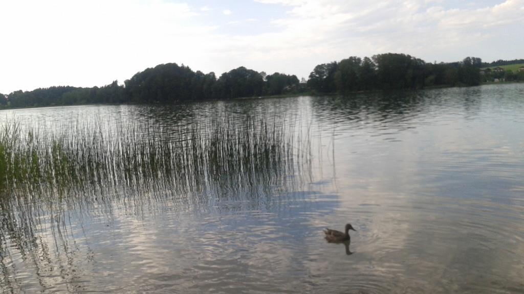 Die schönsten Sommer-Fotos