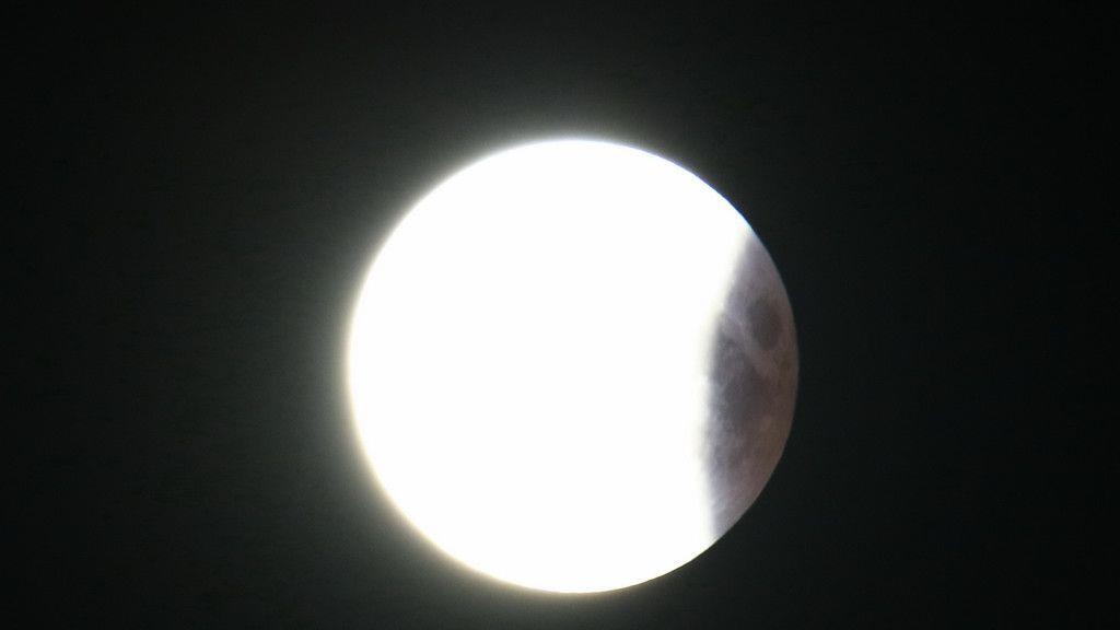 Bilder der Mondfinsternis