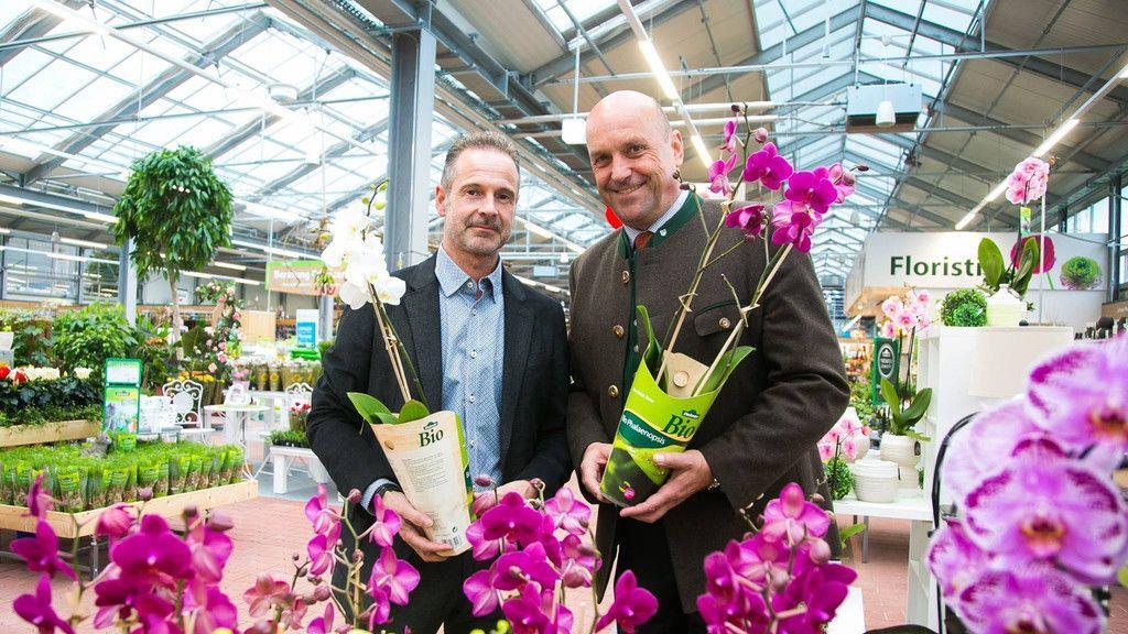 Dehner-Eröffnung in Wals-Siezenheim