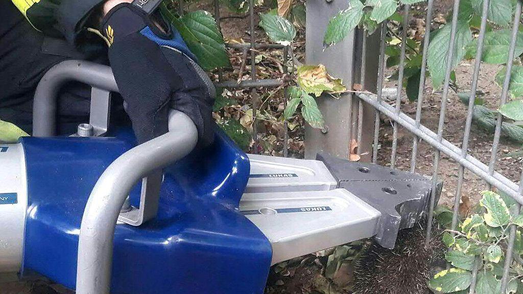 Feuerwehr rettet Igel
