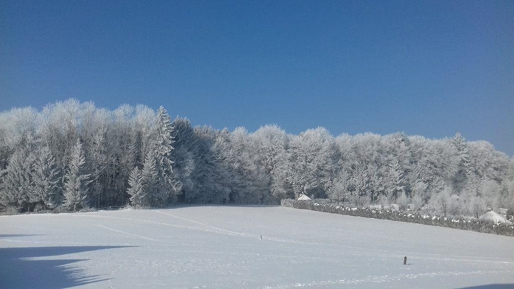 Eure schönsten Winterbilder I