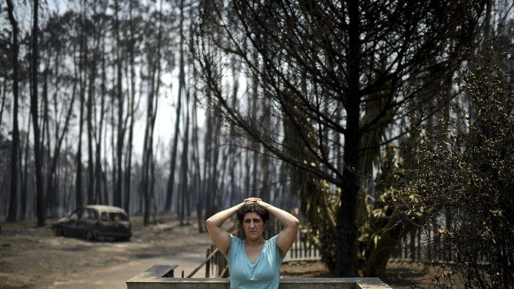 Waldbrand in Portugal
