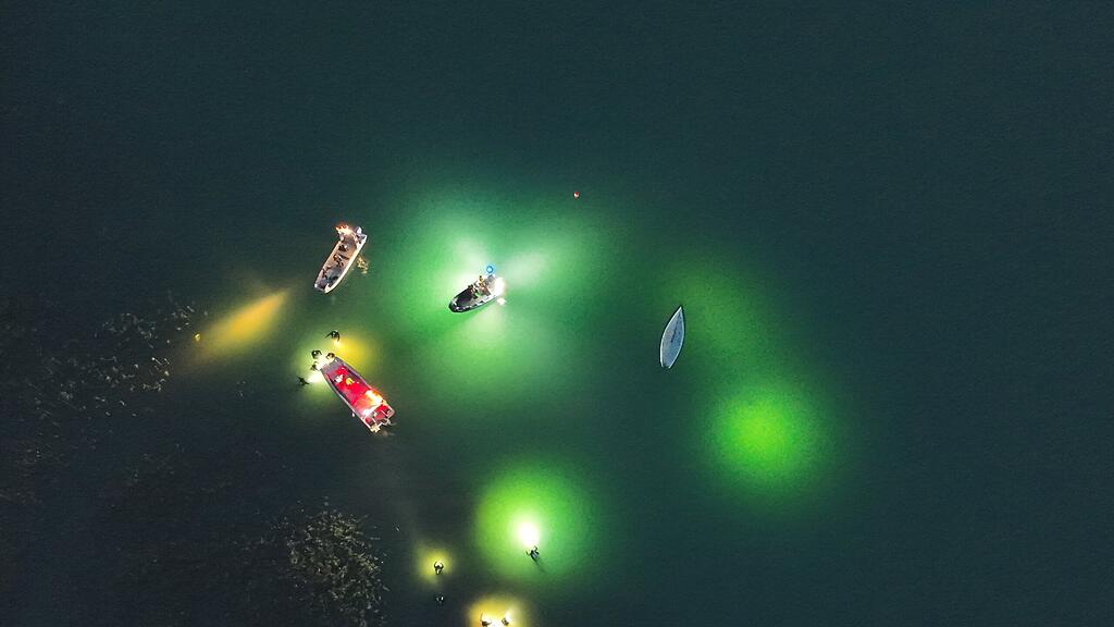 DJI_20230729212524_0021_V.JPG