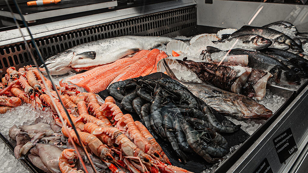 Walter Grüll, Sonntagstalk, Fisch, Fischzüchter