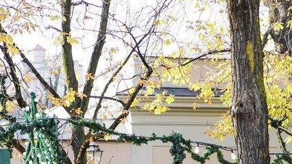Adventmarkt am Mirabellplatz