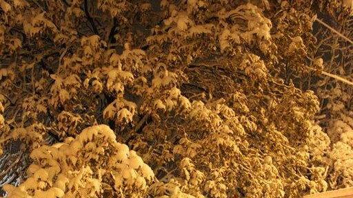 Erster Schnee in Salzburg