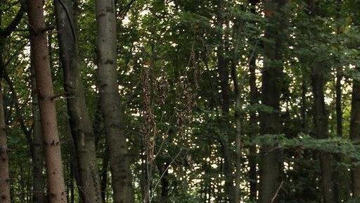 Bilder der Unfallstelle