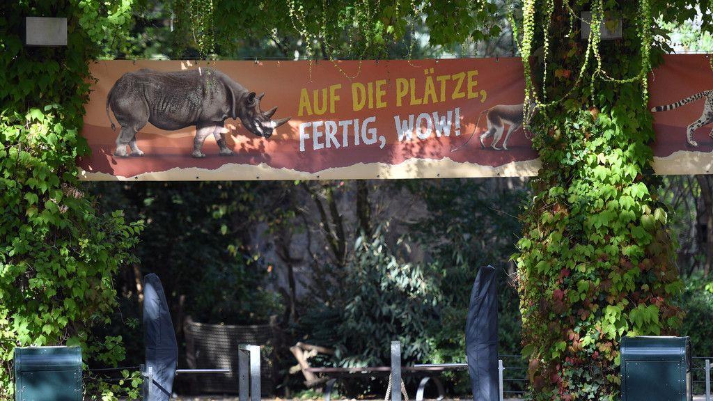 Löwen im Zoo Leipzig ausgebrochen