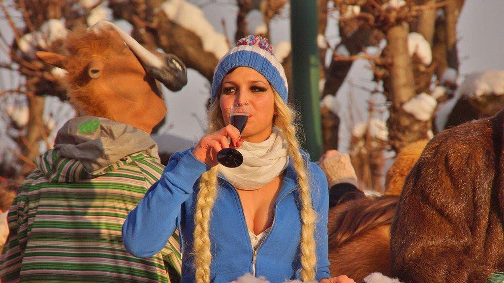 Faschingsumzug in Gmunden