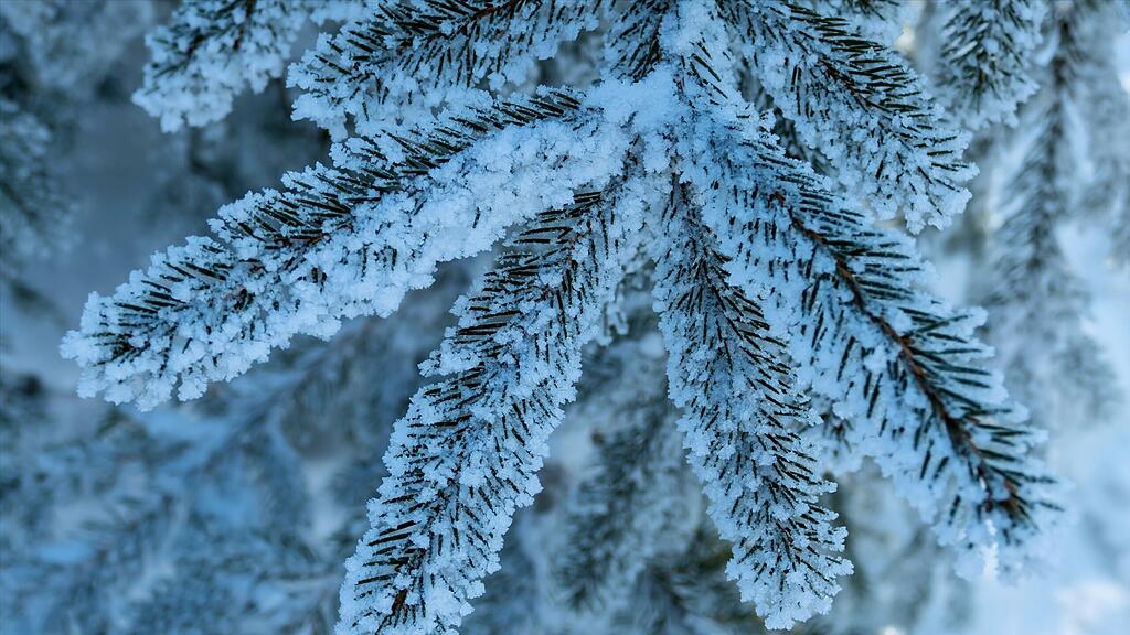 Der Winter kommt mit großen Schritten.