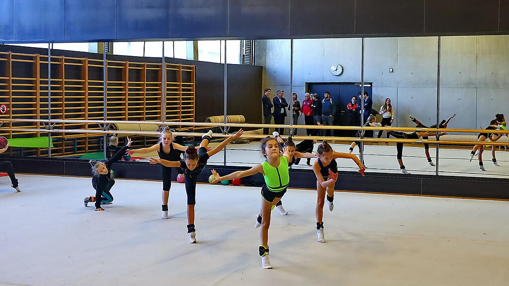 Werner Kogler, Sportzentrum Mitte
