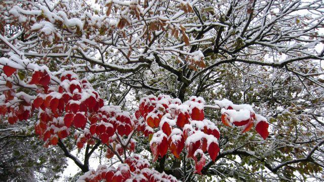So schön kann der Winter sein