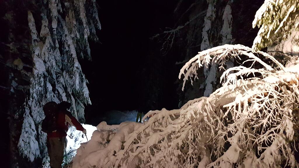 20190107_181305.jpg