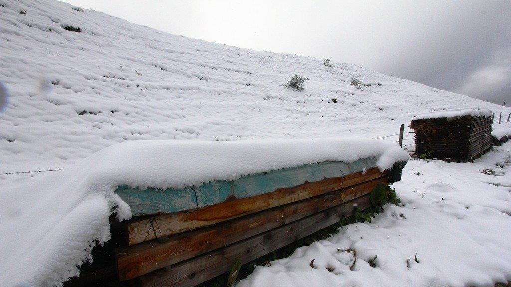 Schnee in Mühlbach/Hochkönig