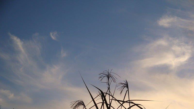 Herbstlicher Sonnenuntergang