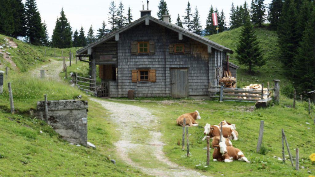 Wandertag mit Marcel Hirscher