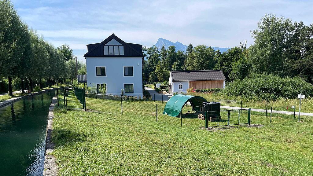 Ziegengehege Almkanal