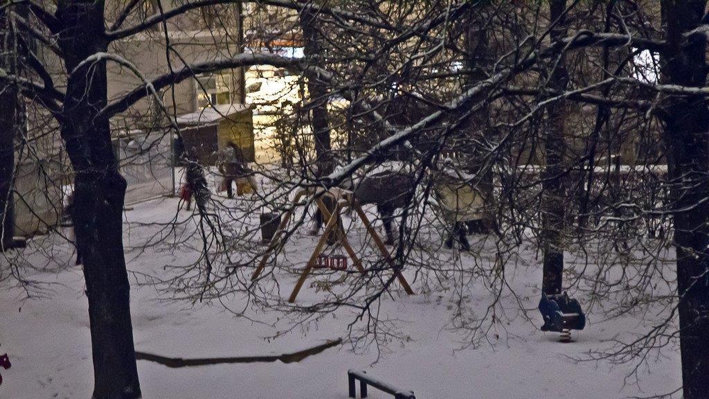 Bettlerlager im Struberpark in der Stadt Salzburg aufgelöst