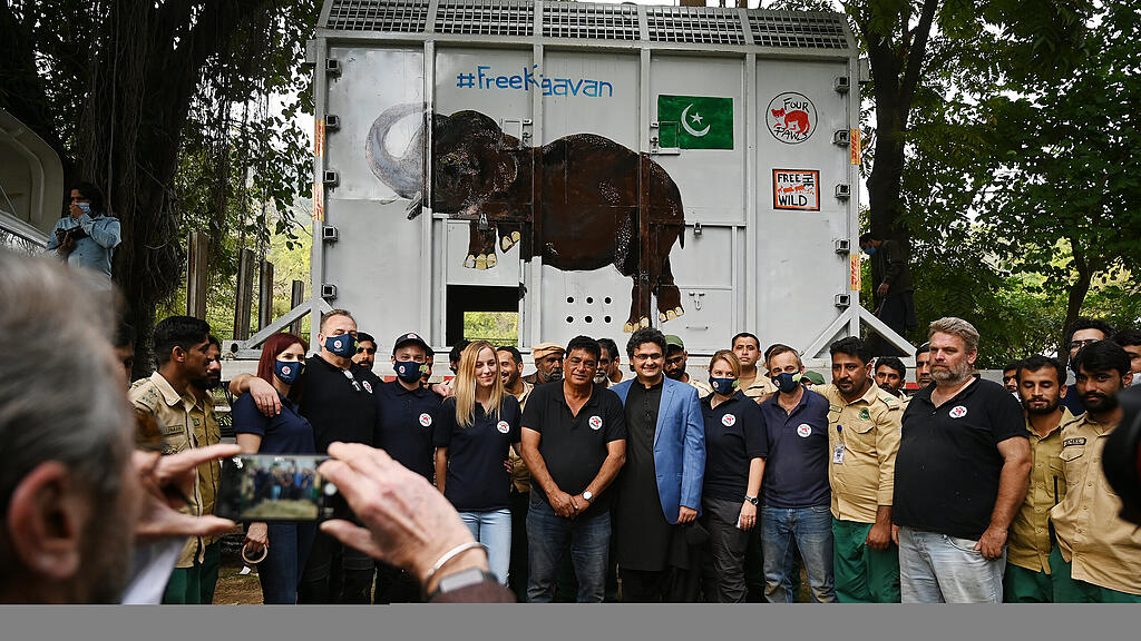 Einsamster Elefant Kaavan