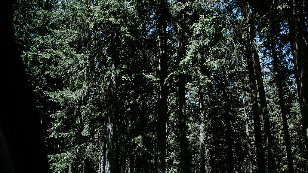 _K6B0514.jpg