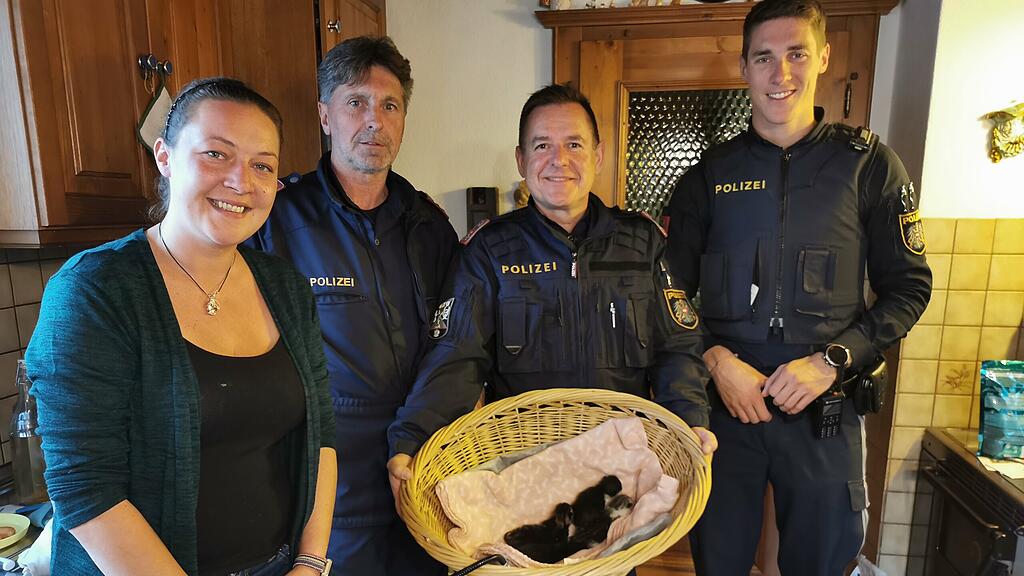 Abgabe der Katzenbabys bei Tanja Grundner - Tierhilfe.jpg
