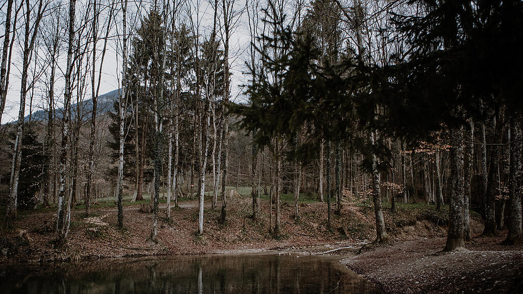 Nachmittagsspaziergang Hexenloch