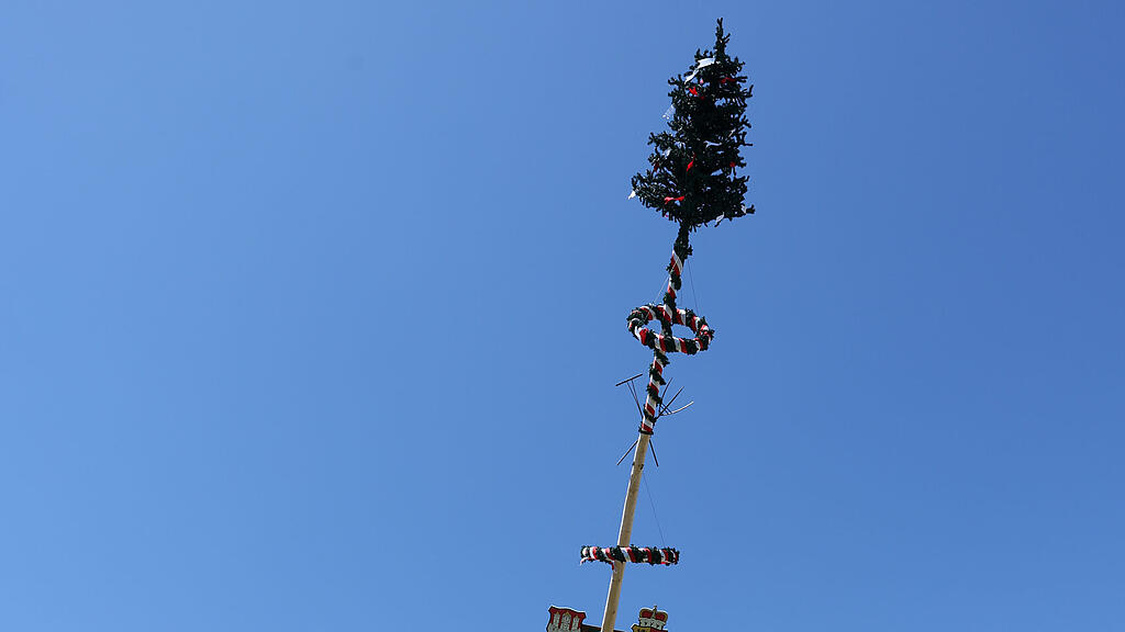 Stiegl Maibaum-Fest