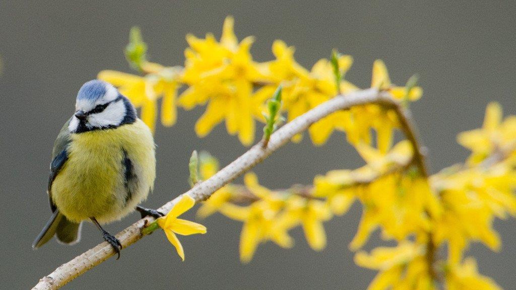 Die beeindruckensten Tierbilder KW 17