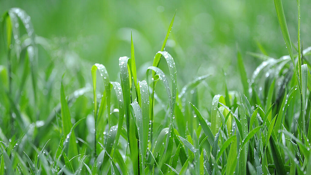 20100520_PD0996.HR.jpg