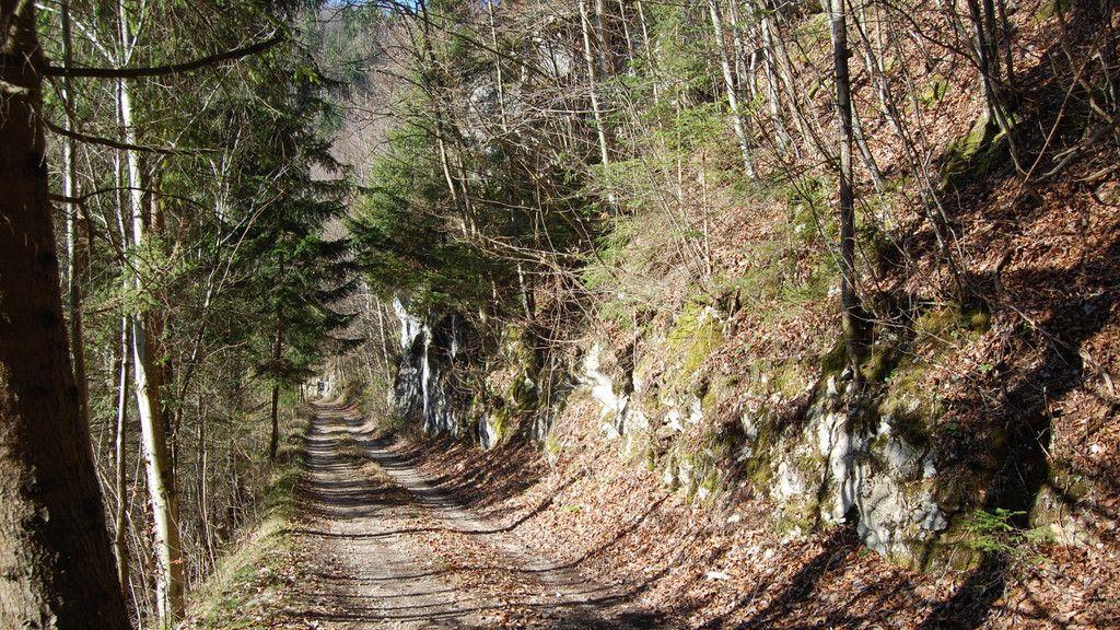 Bilder der Ischlerbahntrasse
