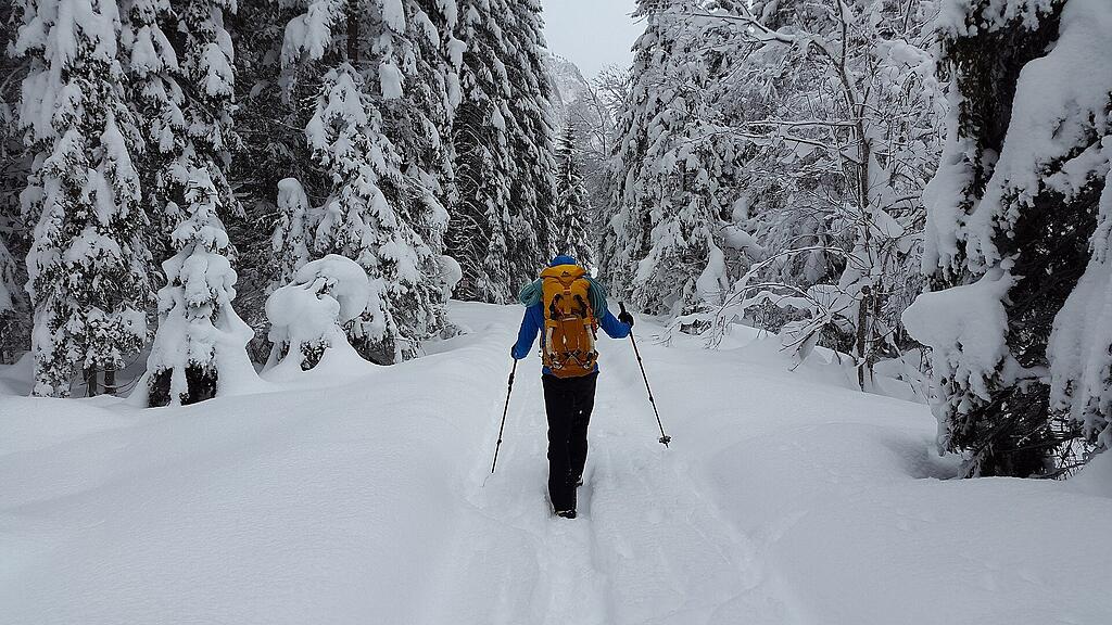 symb_wandern symb_schnee