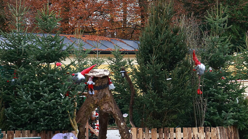 Hellbrunner Adventzauber: Aufbau