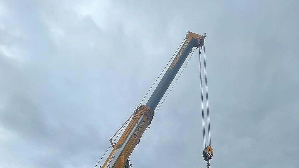 Christbaum wird verladen