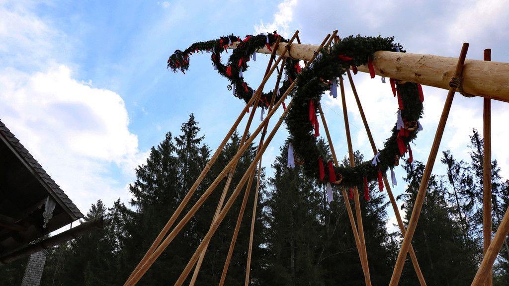 Maibaumaufstellen im Freileichtmuseum