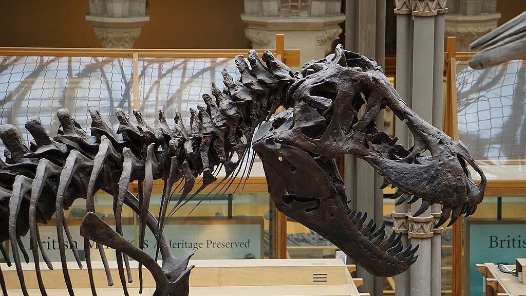 symb_t-rex