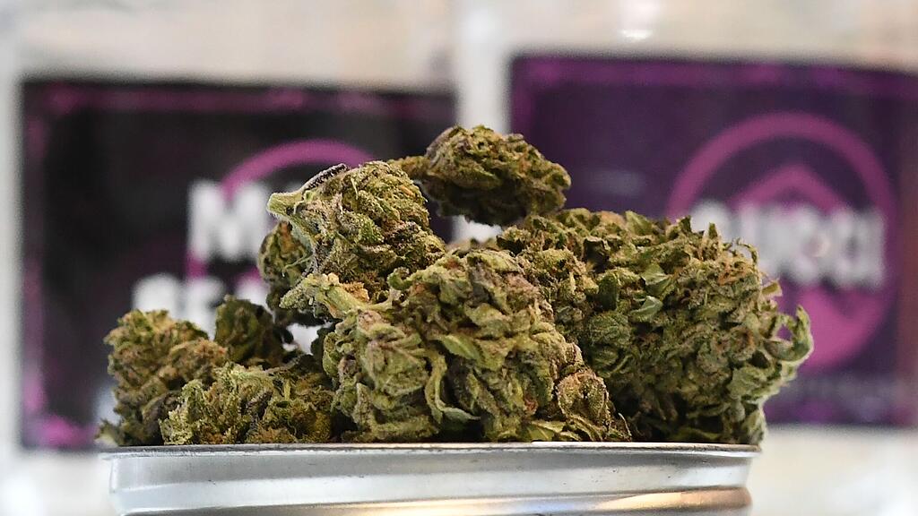 Niederösterreich könnte laut SJ eine Modellregion für Cannabis-Legalisierung werden (Symbolbild).