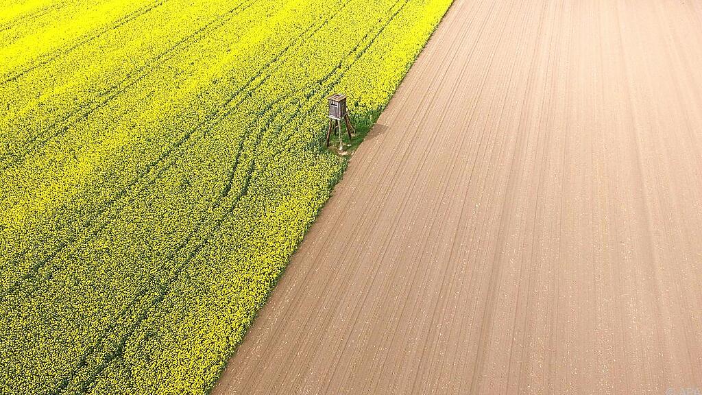 Land- und Wassernutzung als ein Grund für Artensterben
