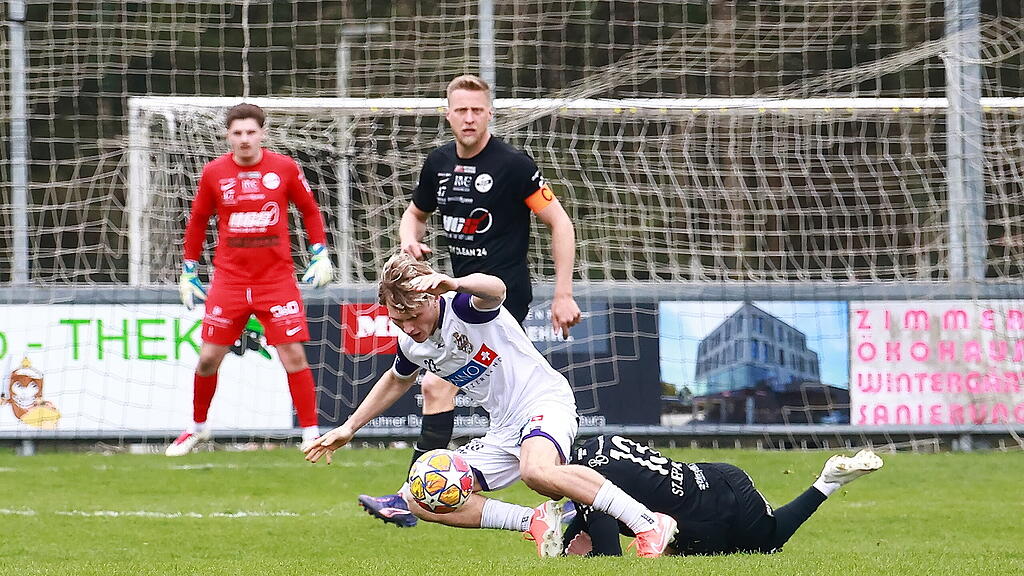 Salzburger Liga, Puch, Hallwang