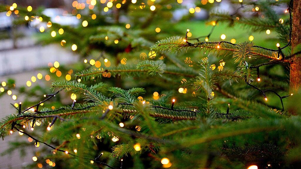 symb_christbaum