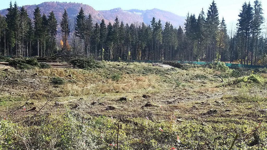 MACO: Erweiterungsareal gerodet