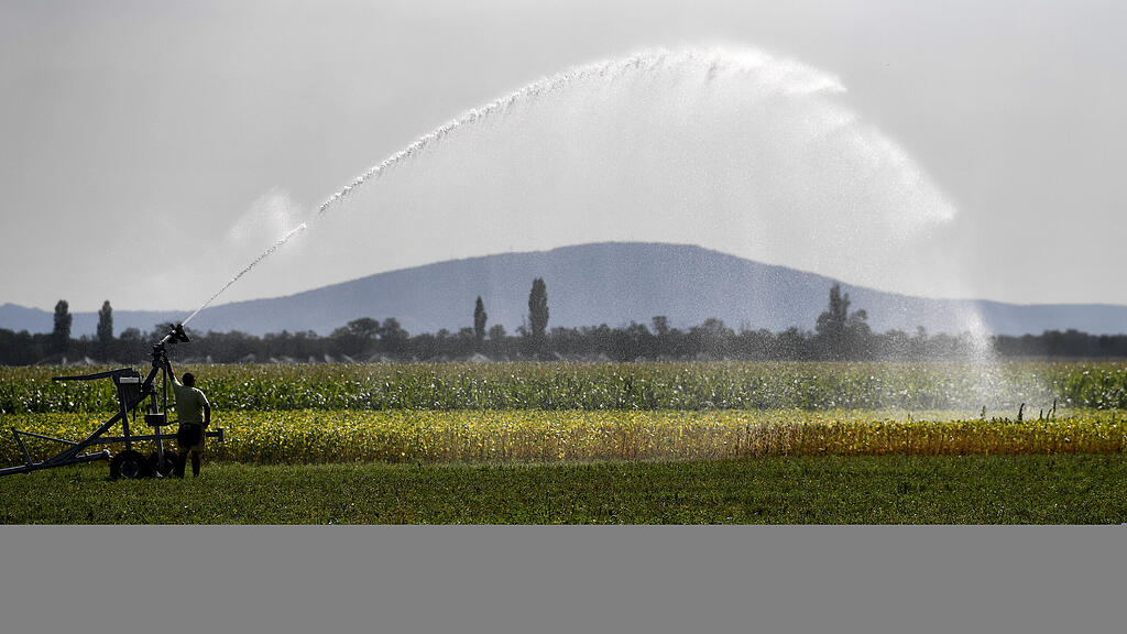 THEMENBILD  NIEDERÖSTERREICH WETTER - BEWÄSSERUNG IM MARCHFELD =.jpg
